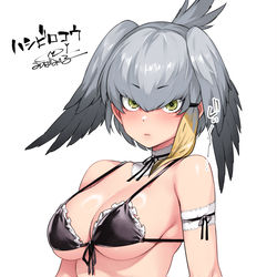 This is a pixiv picture whose title is 涼しいメイド　ハシビロコウ.