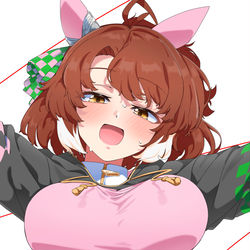 This is a pixiv picture whose title is 跳ねるダンツフレーム.