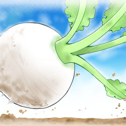 This is a pixiv picture whose title is 【ウマ娘】おおきなかぶ と じぇんてぃるさん.