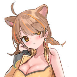 This is a pixiv picture whose title is 獅子神レオナ.