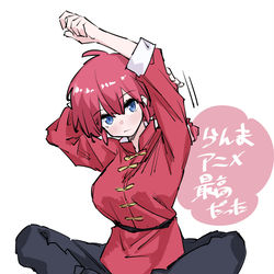 This is a pixiv picture whose title is らんま.