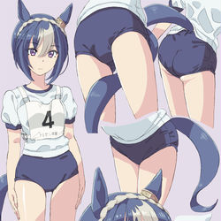 This is a pixiv picture whose title is 選抜レースに出走するシーザリオ(オン).