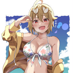 This is a pixiv picture whose title is スイッチ入った翼.
