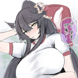 This is a pixiv picture whose title is ナリタブライアン.