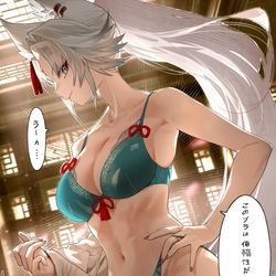 This is a pixiv picture whose title is General Feixiao selection!.