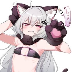 This is a pixiv picture whose title is 威嚇する子猫.