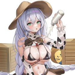 This is a pixiv picture whose title is ファーゴ.