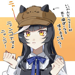 This is a pixiv picture whose title is ねこかわいい.