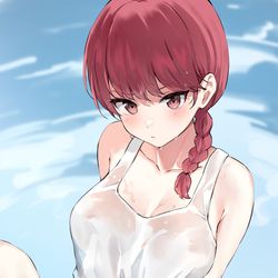 This is a pixiv picture whose title is Ranma.