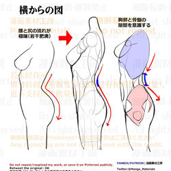 This is a pixiv picture whose title is 個人メモ：横から見た胴体のライン.