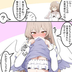 This is a pixiv picture whose title is ナギサとヒフミ水着.