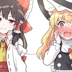 This is a pixiv picture whose title is レイマリ🫶.