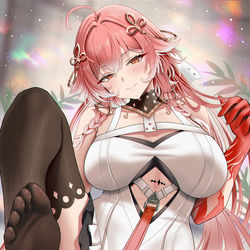 This is a pixiv picture whose title is 長離.