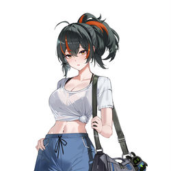 This is a pixiv picture whose title is 朱鳶.