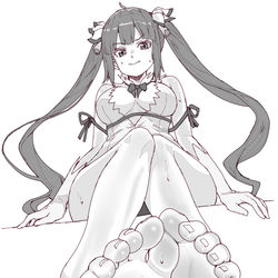 This is a pixiv picture whose title is ヘスティアの足裏.