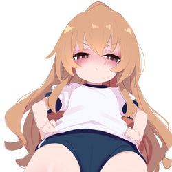 This is a pixiv picture whose title is 逢坂大河 1023.