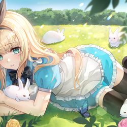 This is a pixiv picture whose title is Alice.