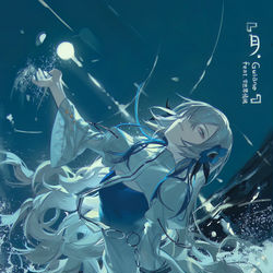 This is a pixiv picture whose title is 私は月.