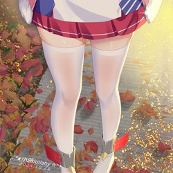 This is a pixiv picture whose title is 拉菲-落叶.