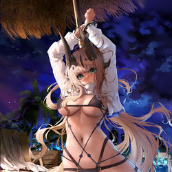 This is a pixiv picture whose title is 仅能放出的第二张.