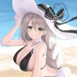 This is a pixiv picture whose title is 天鹰.