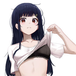 This is a pixiv picture whose title is 女の子.