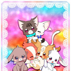 This is a pixiv picture whose title is 《わんだふるあにまる!?》 新表紙（公式.ver）.