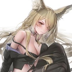 This is a pixiv picture whose title is Vulpisfoglia.