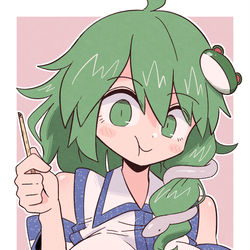 This is a pixiv picture whose title is 早苗さん.