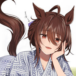 This is a pixiv picture whose title is 髪が伸びタキオン.
