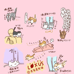 This is a pixiv picture whose title is レクサス(隠語)2.