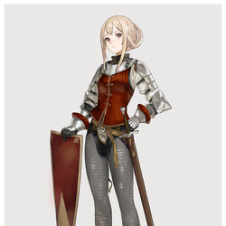 This is a pixiv picture whose title is 緋装の精兵.
