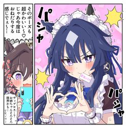 This is a pixiv picture whose title is 長姉メイドヴィルシーナ.