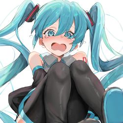 This is a pixiv picture whose title is 「マスター助けて～!!」.