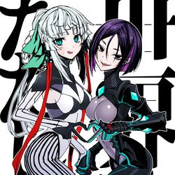 This is a pixiv picture whose title is サムレムとかFGOとか.