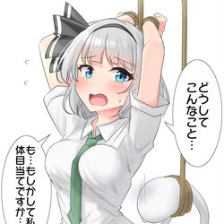 This is a pixiv picture whose title is 体の自由を奪われてしまう妖夢ちゃん.
