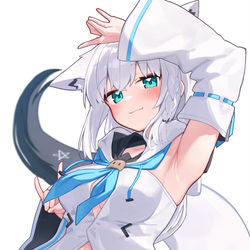 This is a pixiv picture whose title is Fubuki Collection.