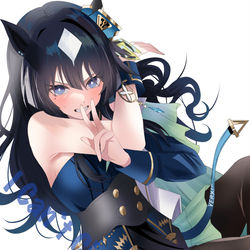 This is a pixiv picture whose title is C105表紙ーナ.
