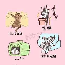 This is a pixiv picture whose title is レクサス(隠語)5.