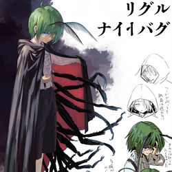 This is a pixiv picture whose title is リグルのキャラデザ.