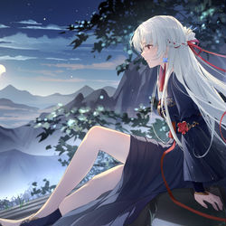 This is a pixiv picture whose title is 江疏影.