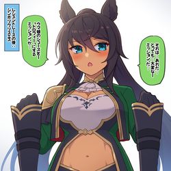 This is a pixiv picture whose title is レジェンドレースの後：シンボリクリスエス.