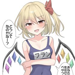 This is a pixiv picture whose title is 勘の鋭いフランちゃん.