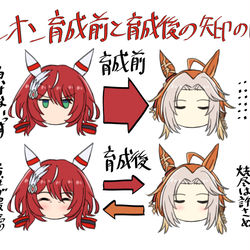 This is a pixiv picture whose title is シオン育成前と育成後の矢印の図.