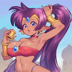 This is a pixiv picture whose title is A random Shantae appears.