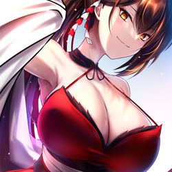 This is a pixiv picture whose title is 瑞鶴.