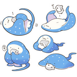 This is a pixiv picture whose title is エイのおくるみ.