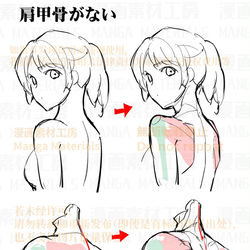 This is a pixiv picture whose title is 個人メモ：背中（肩甲骨）.