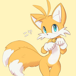 This is a pixiv picture whose title is Tails.