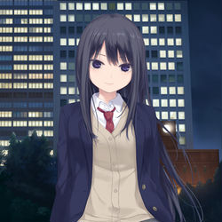 This is a pixiv picture whose title is 夜の公園.